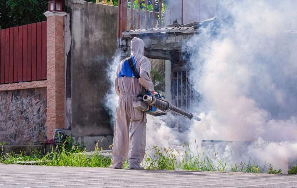 professionnels desinsectisation IDF
