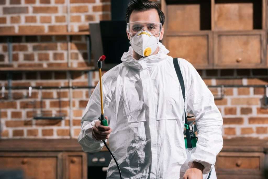 Services de Lutte Contre les Nuisibles en IDF